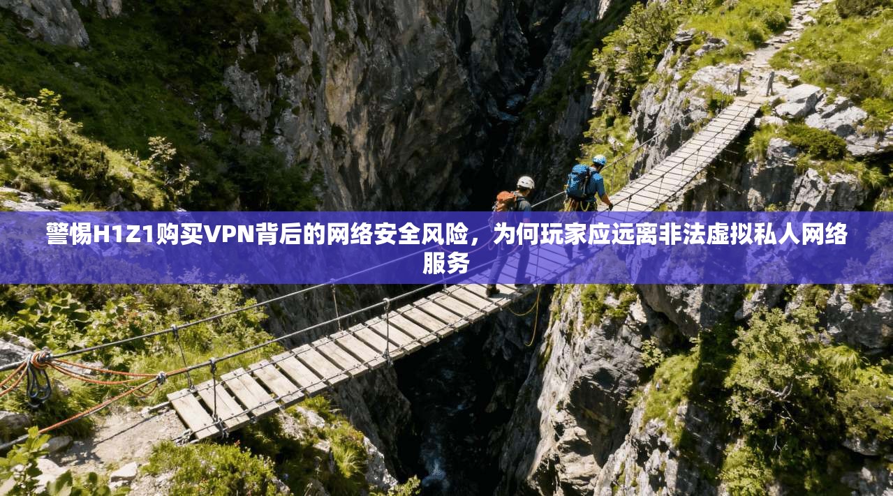 警惕H1Z1购买VPN背后的网络安全风险，为何玩家应远离非法虚拟私人网络服务