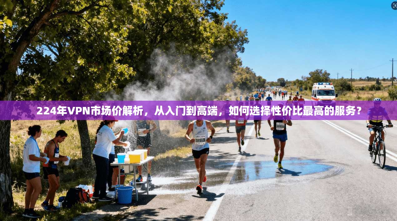 224年VPN市场价解析，从入门到高端，如何选择性价比最高的服务？