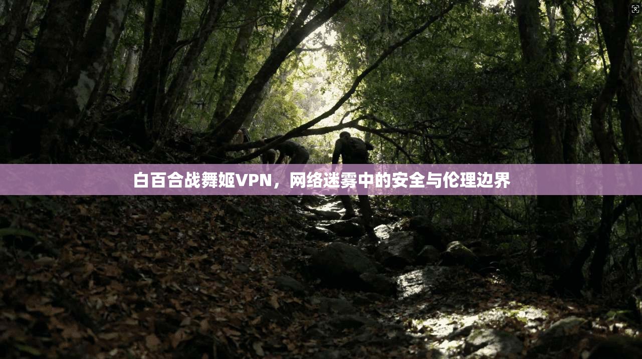 白百合战舞姬VPN，网络迷雾中的安全与伦理边界