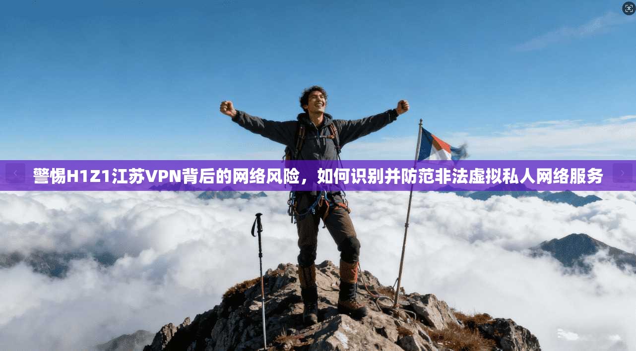 警惕H1Z1江苏VPN背后的网络风险，如何识别并防范非法虚拟私人网络服务