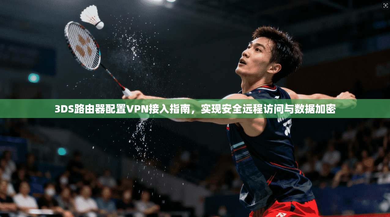 3DS路由器配置VPN接入指南，实现安全远程访问与数据加密