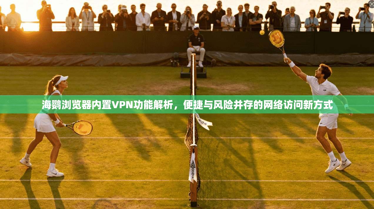 海鹦浏览器内置VPN功能解析，便捷与风险并存的网络访问新方式
