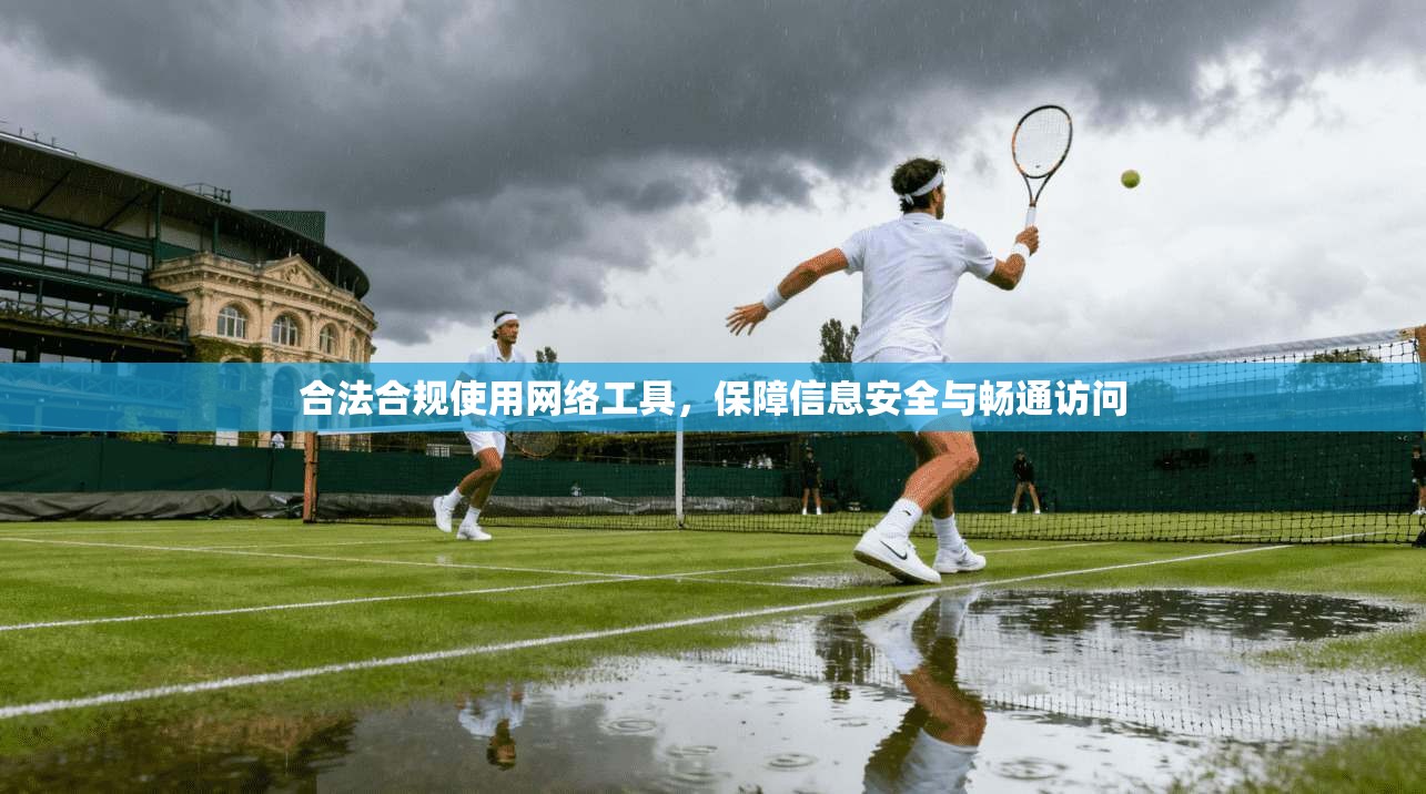 合法合规使用网络工具，保障信息安全与畅通访问