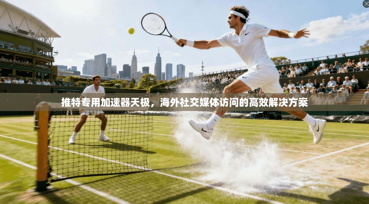 推特专用加速器天极，海外社交媒体访问的高效解决方案