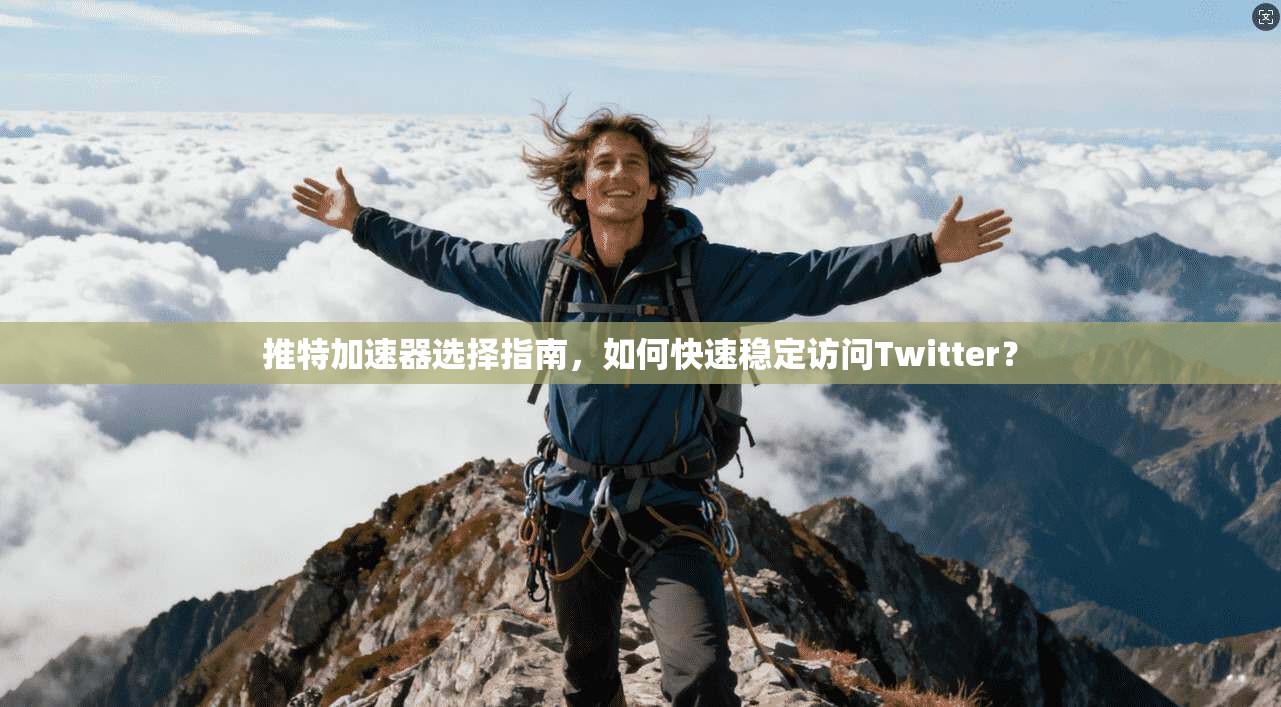 推特加速器选择指南，如何快速稳定访问Twitter？