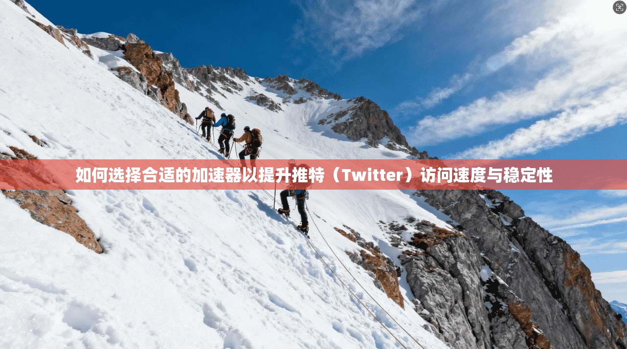 如何选择合适的加速器以提升推特（Twitter）访问速度与稳定性