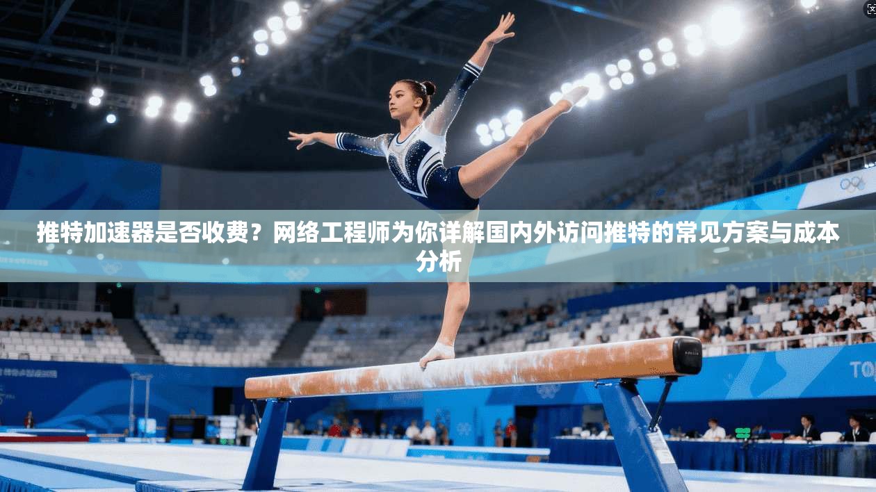 推特加速器是否收费？网络工程师为你详解国内外访问推特的常见方案与成本分析