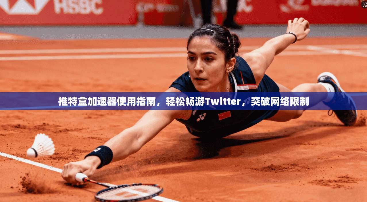 推特盒加速器使用指南，轻松畅游Twitter，突破网络限制