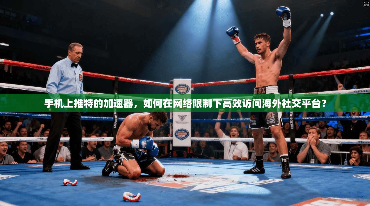 手机上推特的加速器，如何在网络限制下高效访问海外社交平台？