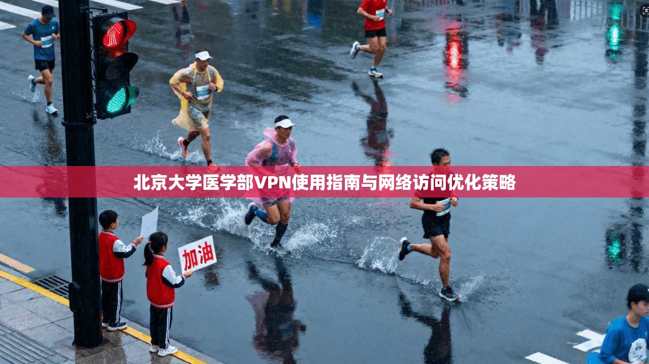 北京大学医学部VPN使用指南与网络访问优化策略