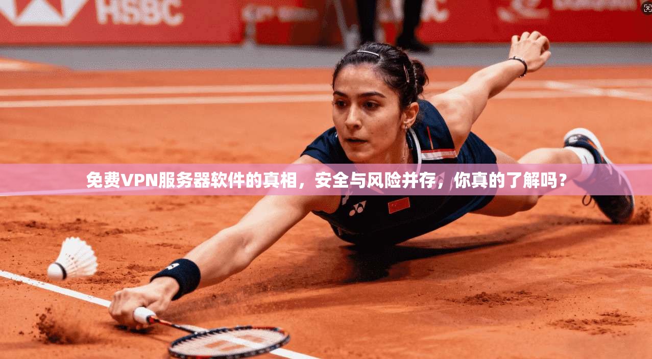 免费VPN服务器软件的真相，安全与风险并存，你真的了解吗？
