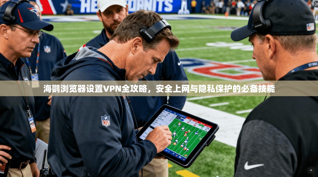 海鹦浏览器设置VPN全攻略，安全上网与隐私保护的必备技能