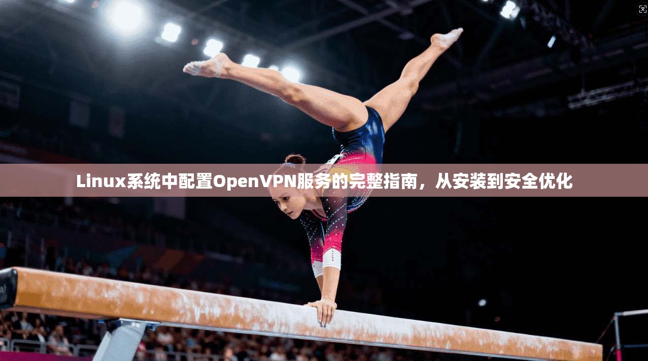 Linux系统中配置OpenVPN服务的完整指南，从安装到安全优化