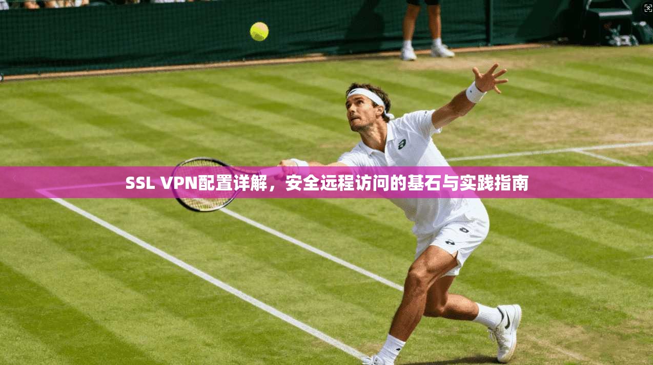 SSL VPN配置详解，安全远程访问的基石与实践指南