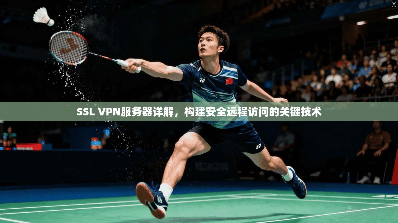 SSL VPN服务器详解，构建安全远程访问的关键技术