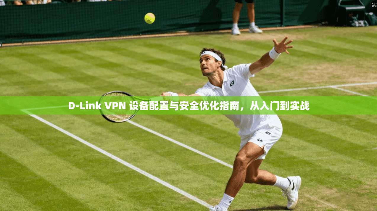 D-Link VPN 设备配置与安全优化指南，从入门到实战