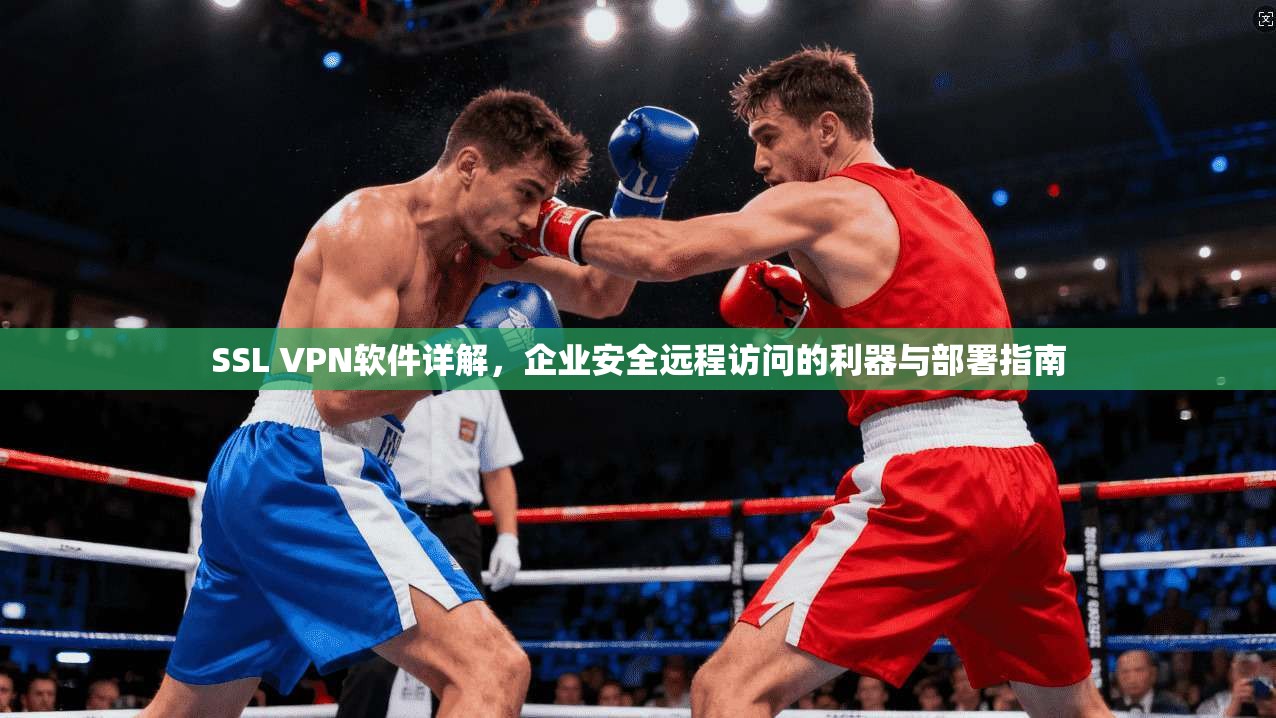 SSL VPN软件详解，企业安全远程访问的利器与部署指南