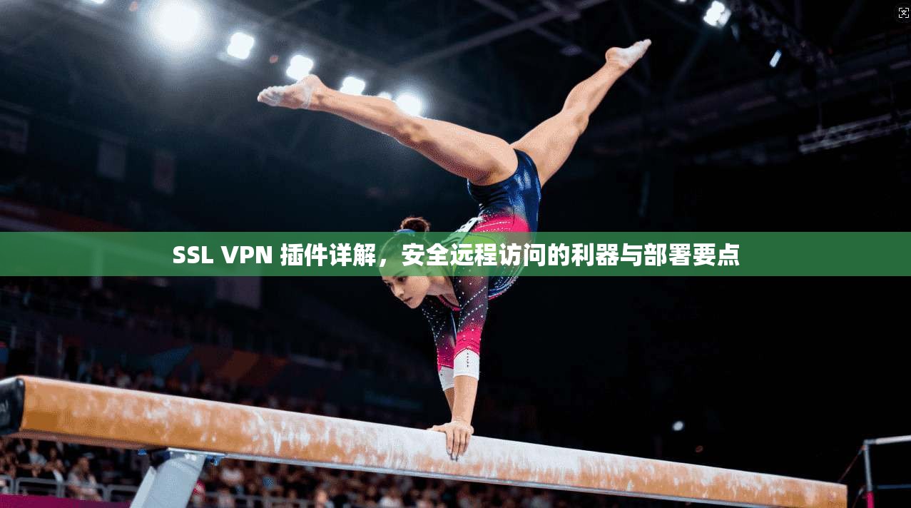 SSL VPN 插件详解，安全远程访问的利器与部署要点