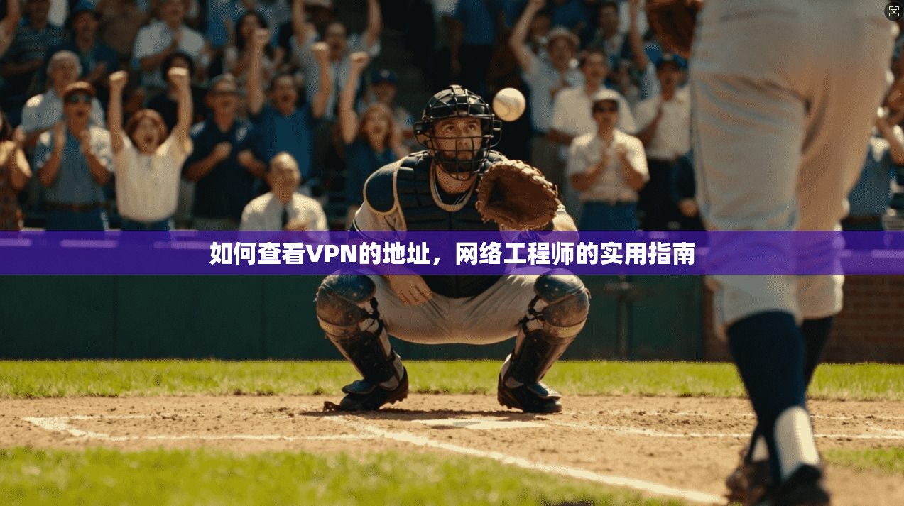 如何查看VPN的地址，网络工程师的实用指南