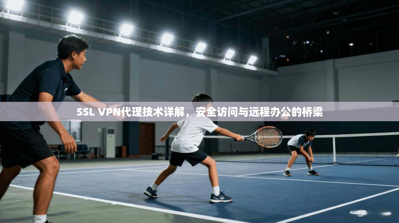 SSL VPN代理技术详解，安全访问与远程办公的桥梁