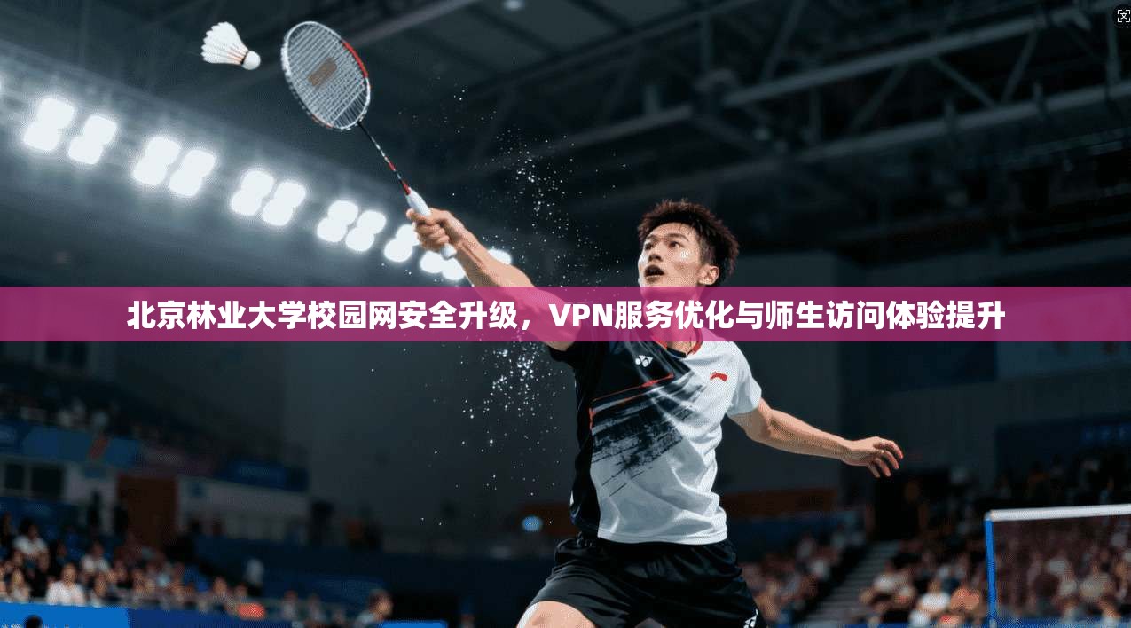北京林业大学校园网安全升级，VPN服务优化与师生访问体验提升
