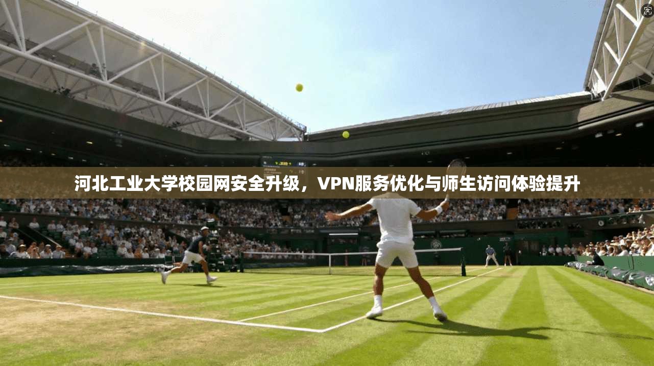 河北工业大学校园网安全升级，VPN服务优化与师生访问体验提升