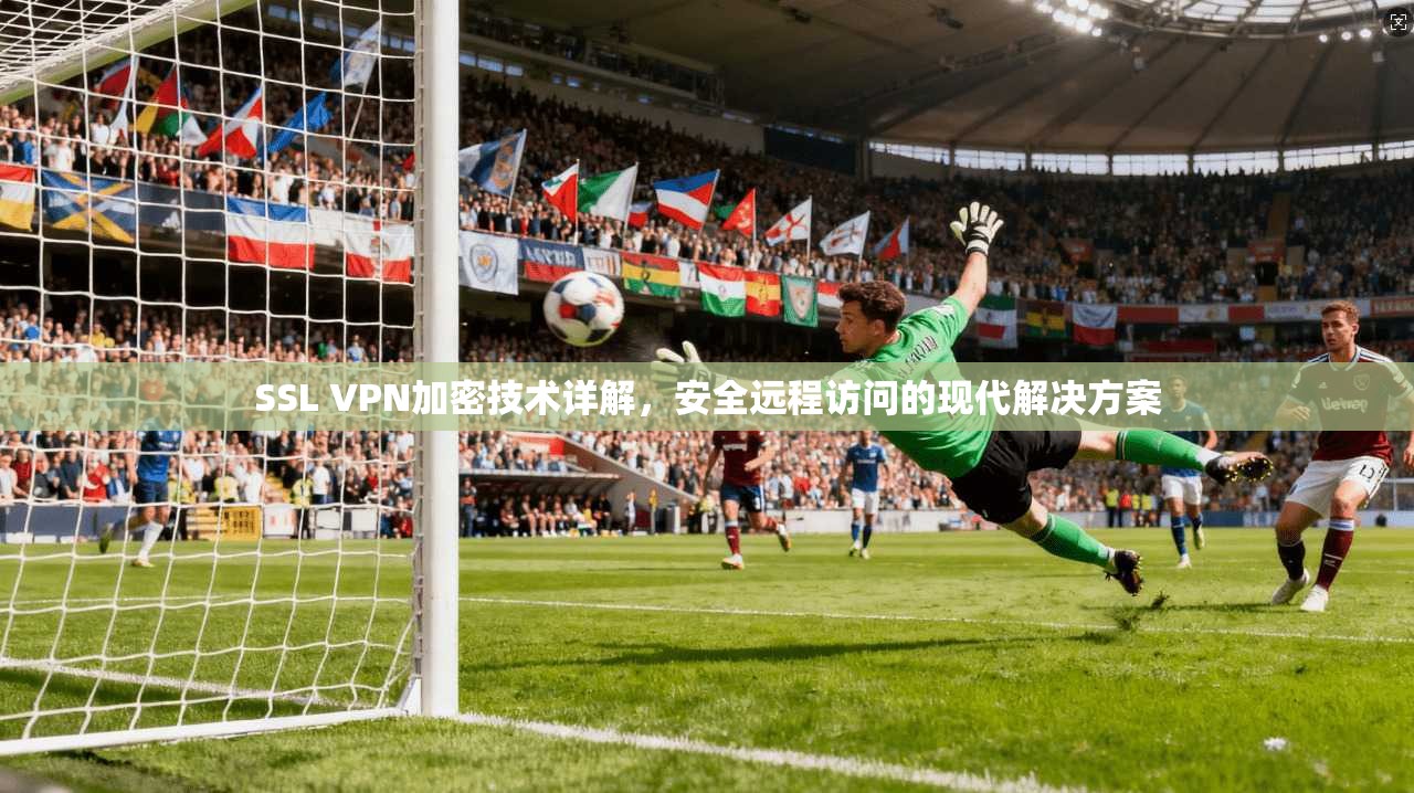 SSL VPN加密技术详解，安全远程访问的现代解决方案