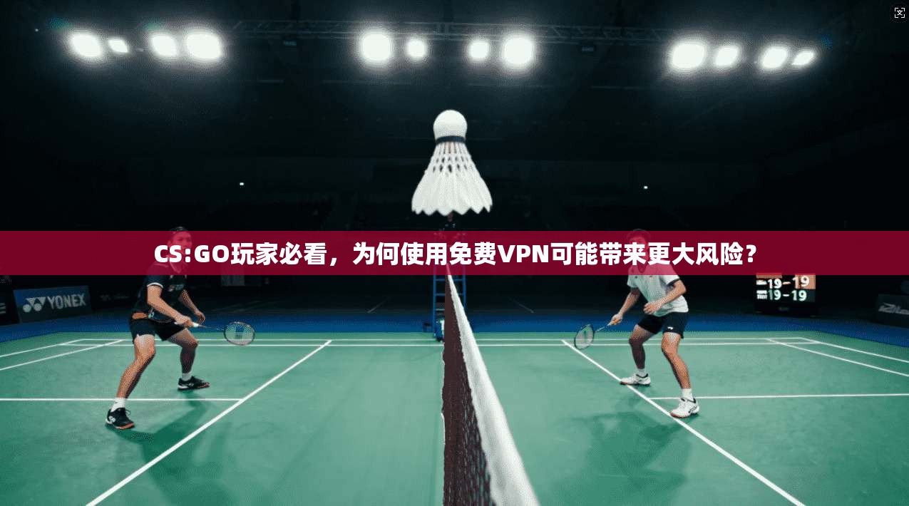 CS:GO玩家必看，为何使用免费VPN可能带来更大风险？