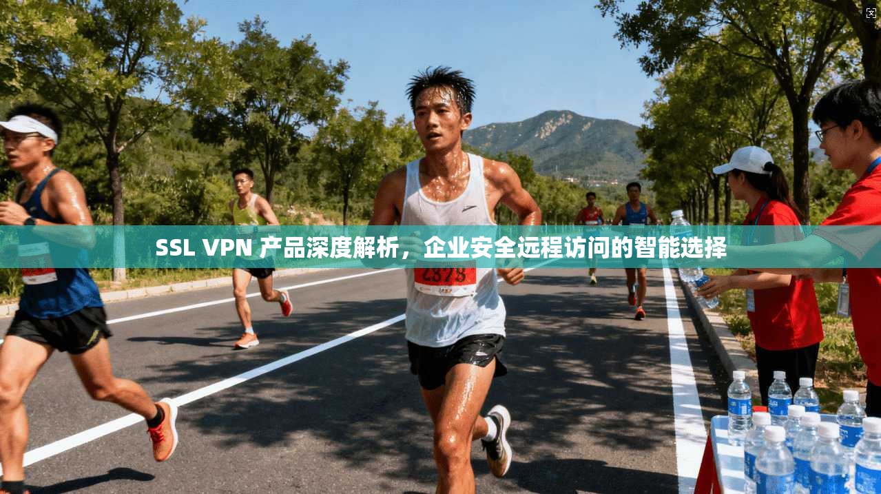 SSL VPN 产品深度解析，企业安全远程访问的智能选择