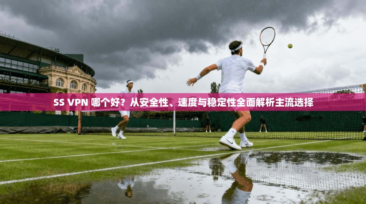 SS VPN 哪个好？从安全性、速度与稳定性全面解析主流选择