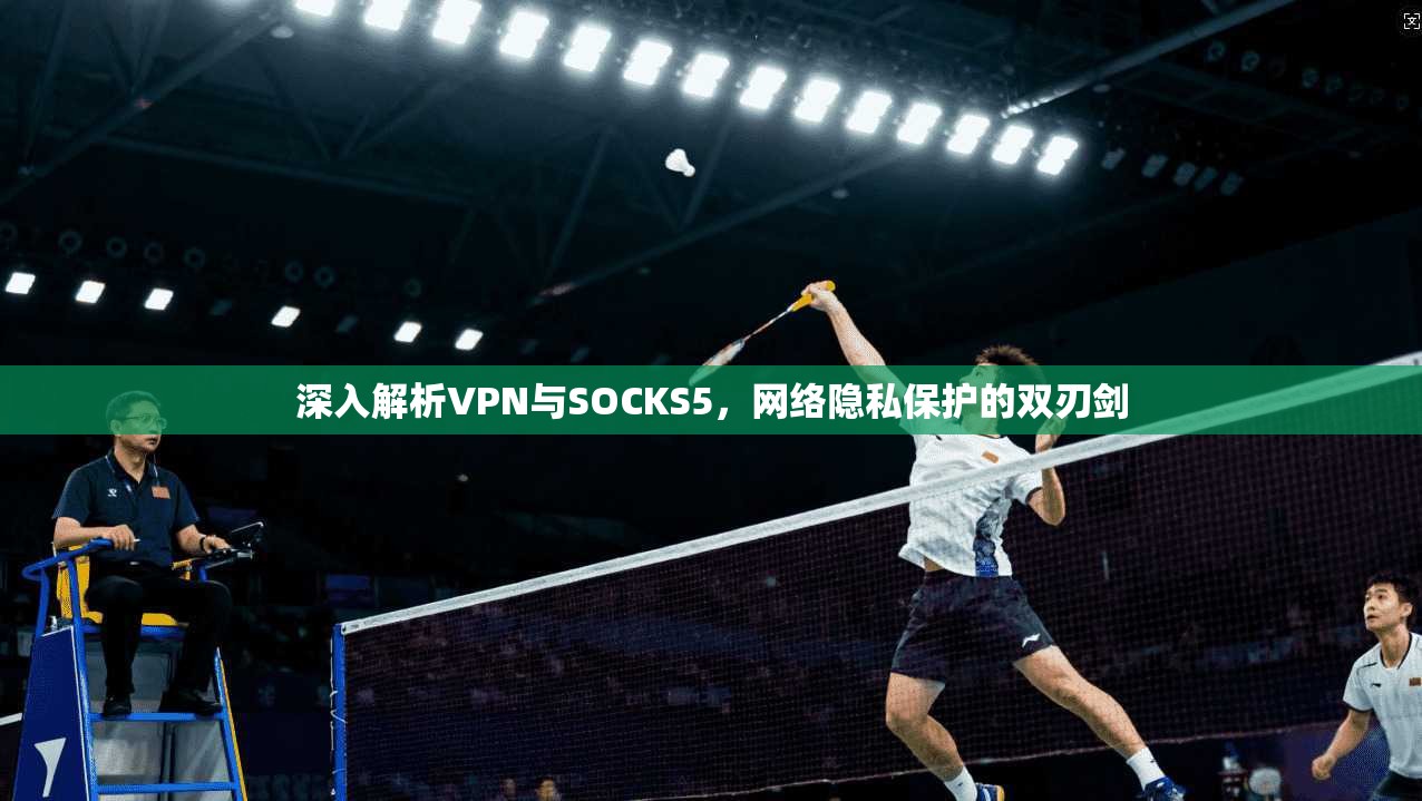 深入解析VPN与SOCKS5，网络隐私保护的双刃剑