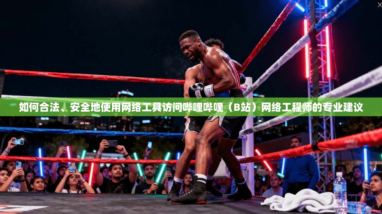 如何合法、安全地使用网络工具访问哔哩哔哩（B站）网络工程师的专业建议