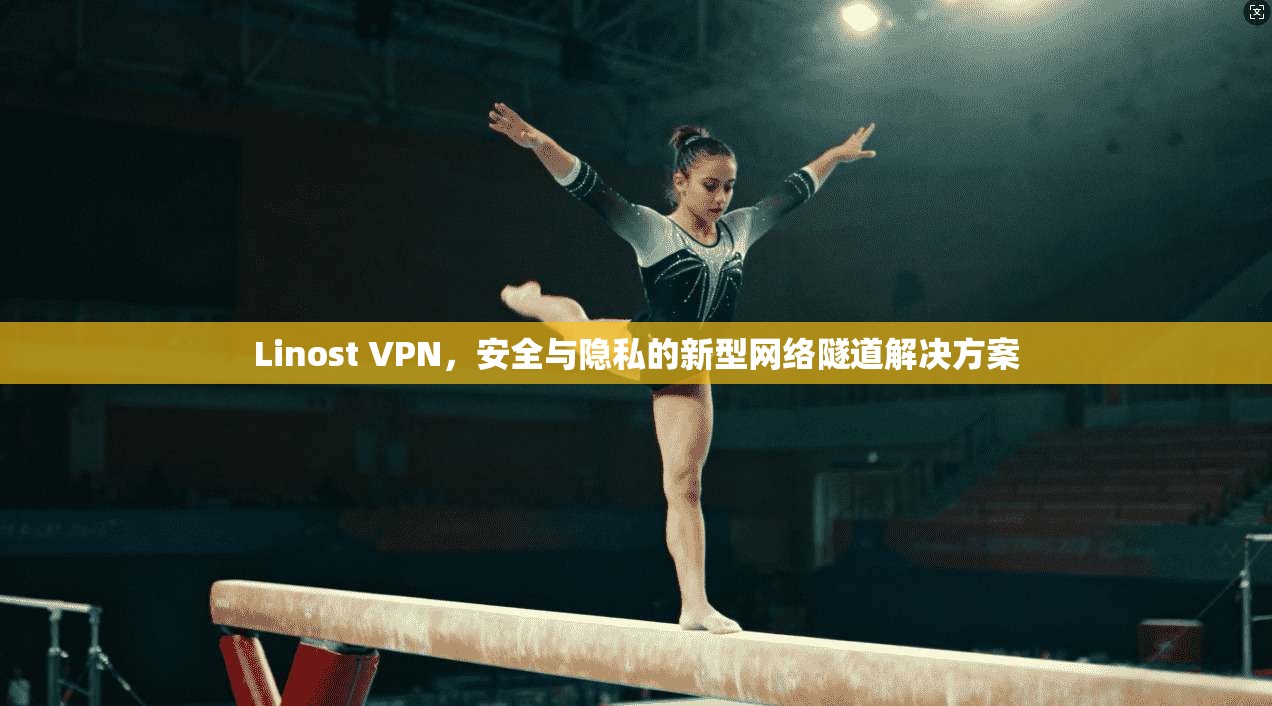 Linost VPN，安全与隐私的新型网络隧道解决方案