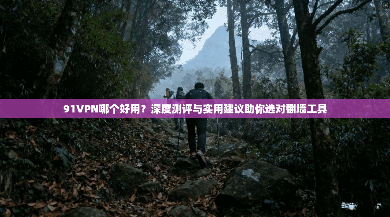 91VPN哪个好用？深度测评与实用建议助你选对翻墙工具