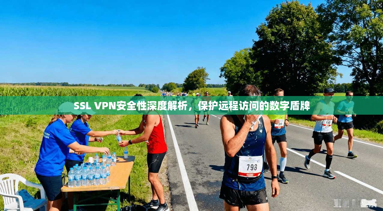 SSL VPN安全性深度解析，保护远程访问的数字盾牌