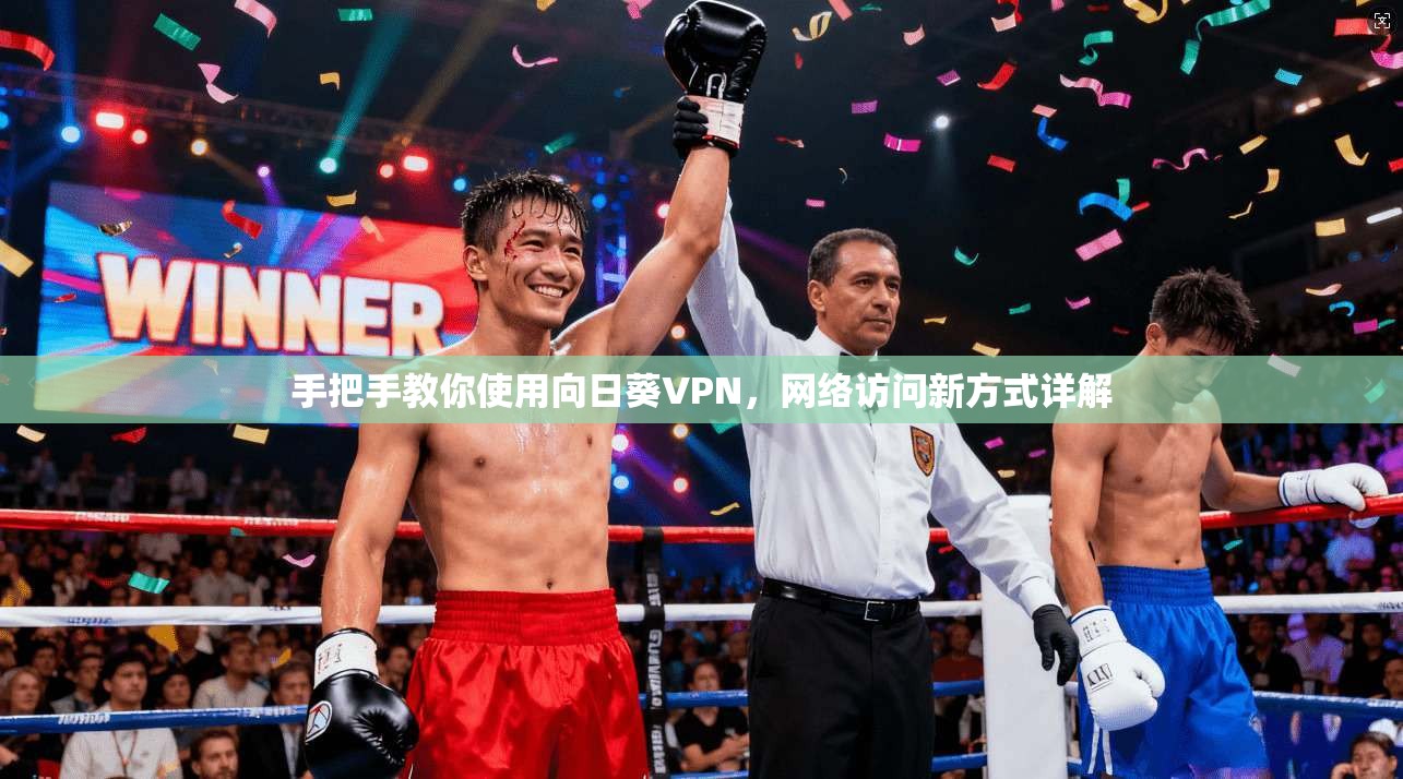 手把手教你使用向日葵VPN，网络访问新方式详解