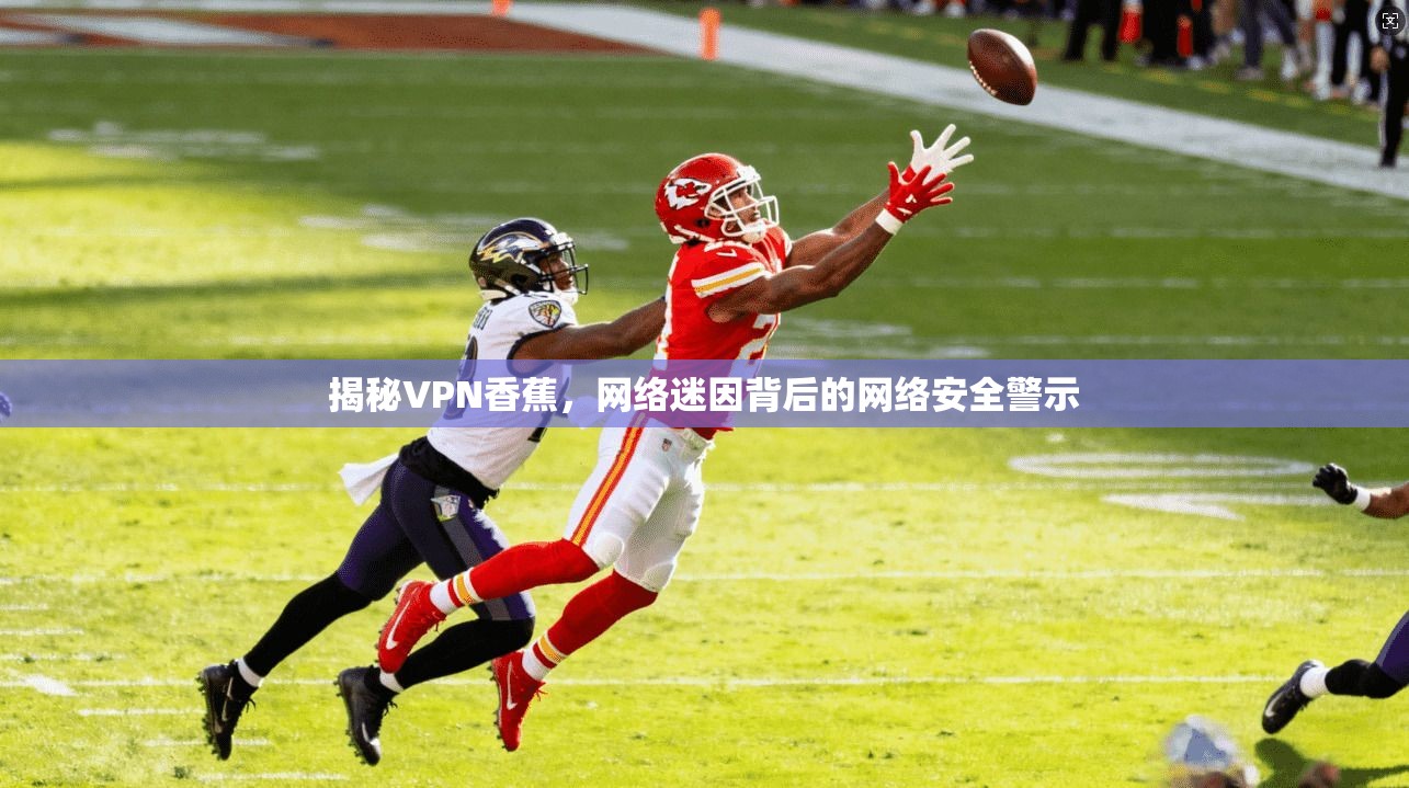 揭秘VPN香蕉，网络迷因背后的网络安全警示
