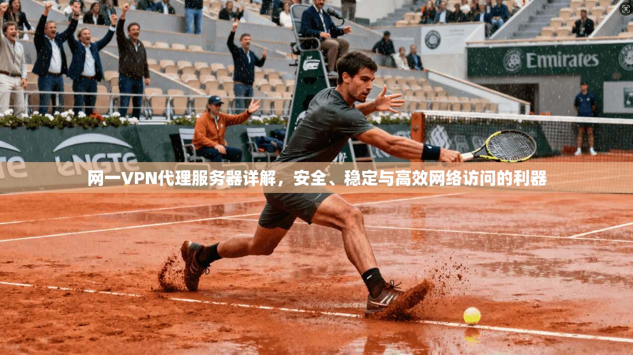 网一VPN代理服务器详解，安全、稳定与高效网络访问的利器