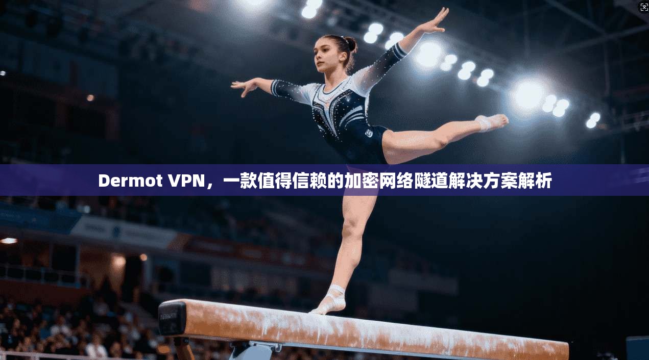 Dermot VPN，一款值得信赖的加密网络隧道解决方案解析
