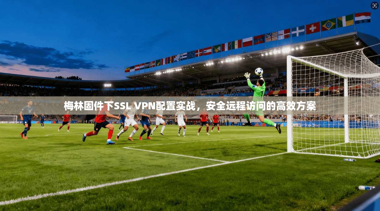 梅林固件下SSL VPN配置实战，安全远程访问的高效方案