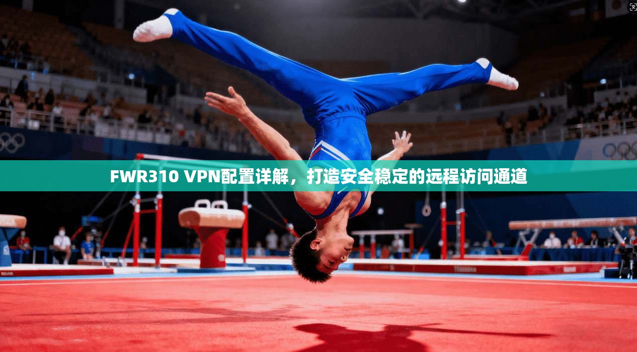 FWR310 VPN配置详解，打造安全稳定的远程访问通道