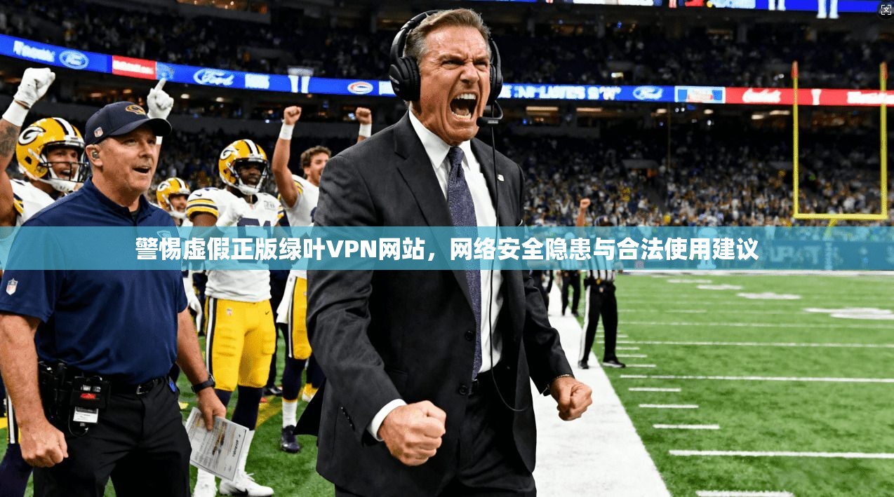 警惕虚假正版绿叶VPN网站，网络安全隐患与合法使用建议
