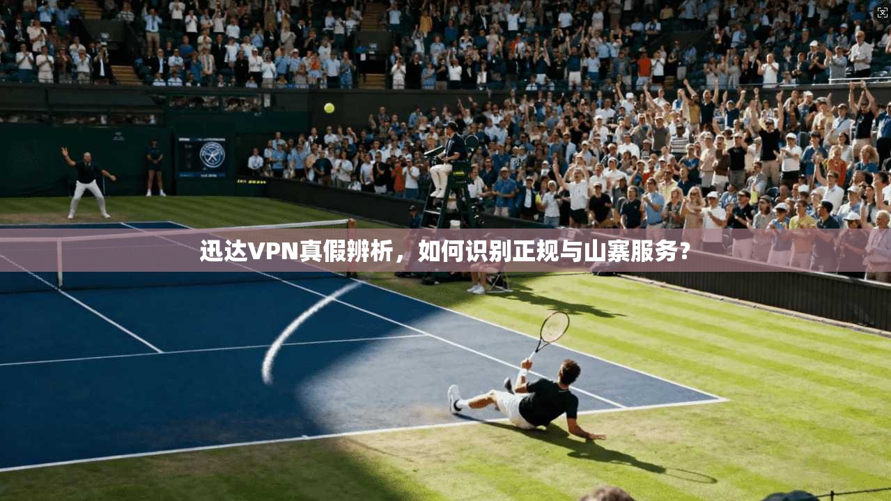 迅达VPN真假辨析，如何识别正规与山寨服务？
