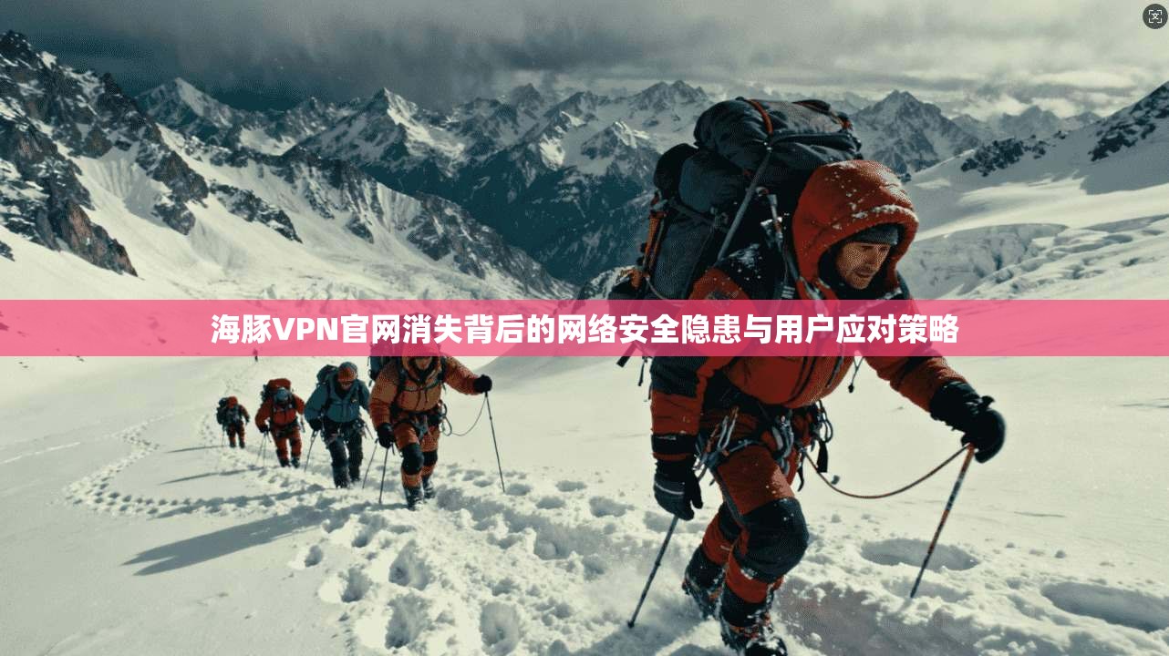 海豚VPN官网消失背后的网络安全隐患与用户应对策略