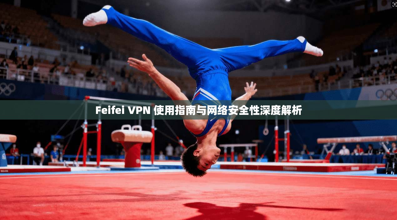 Feifei VPN 使用指南与网络安全性深度解析