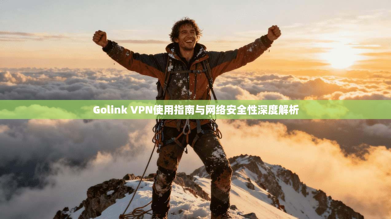 Golink VPN使用指南与网络安全性深度解析