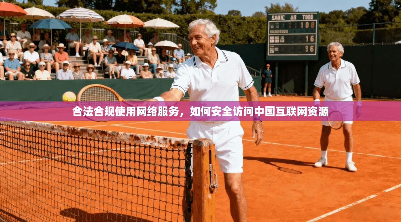 合法合规使用网络服务，如何安全访问中国互联网资源