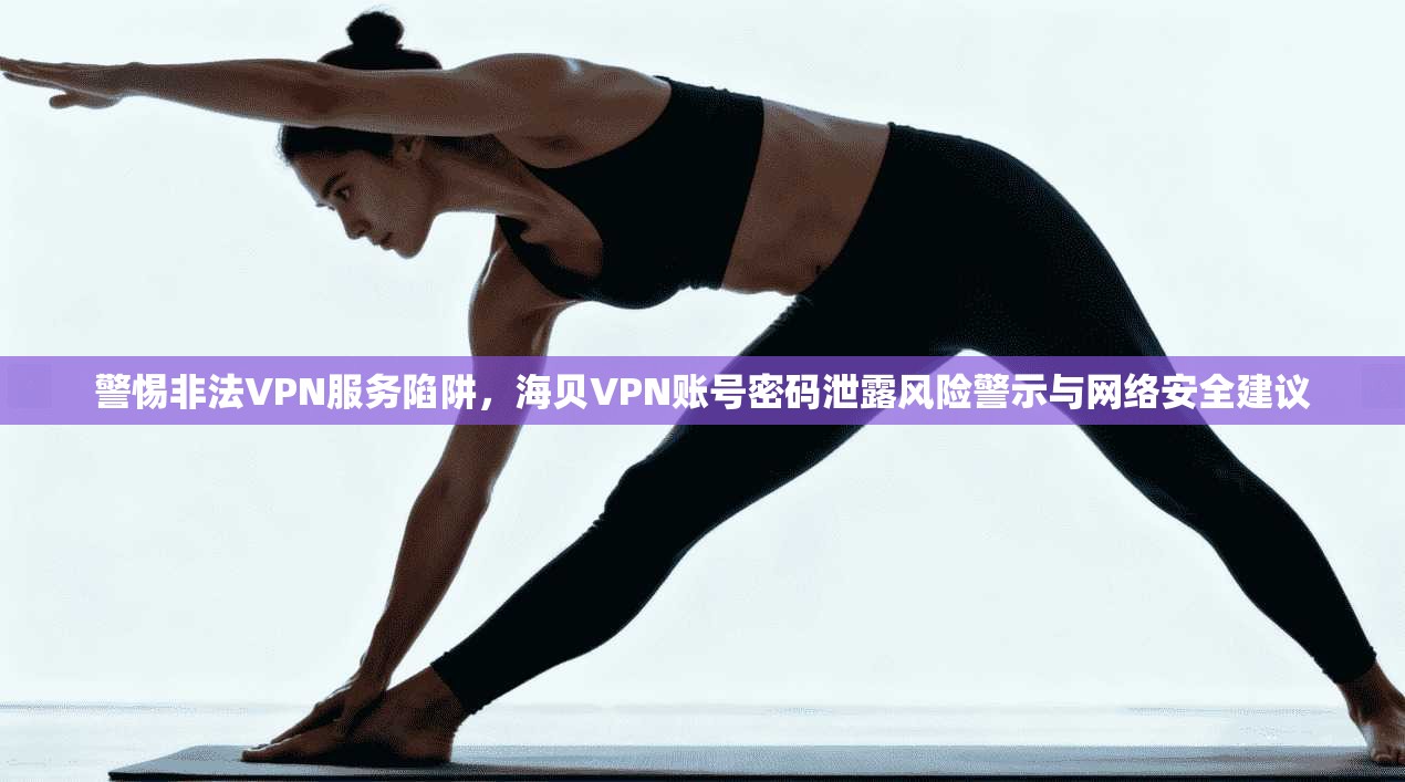 警惕非法VPN服务陷阱，海贝VPN账号密码泄露风险警示与网络安全建议