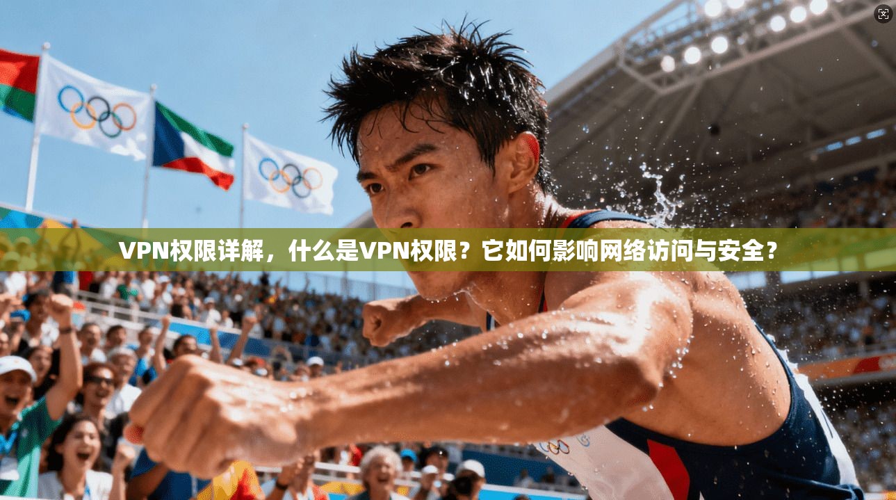 VPN权限详解，什么是VPN权限？它如何影响网络访问与安全？