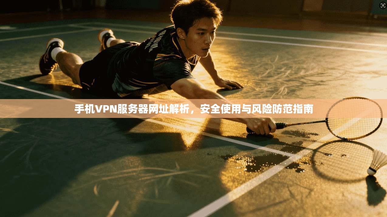 手机VPN服务器网址解析，安全使用与风险防范指南